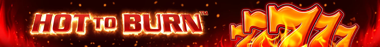 3390-hot-to-burnbanners1266x159regular-banner17-17901134208437.webp?v=1790859010