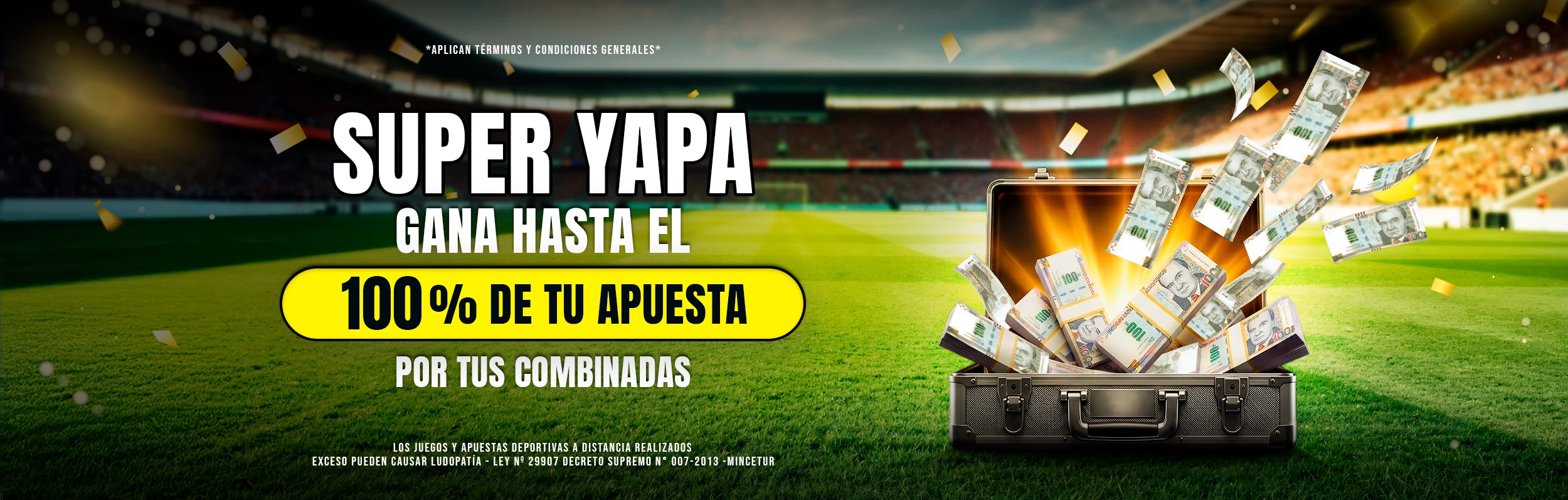 3530-imagen-29-17762708504971.webp?v=1777416254